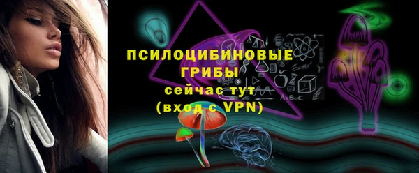 стафф Михайловка